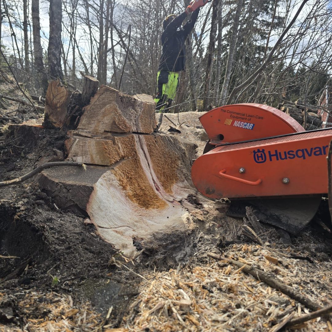 Stubbfräsning med Husqvarna‑maskin i skogsmiljö.